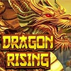 Dragon Rising icon