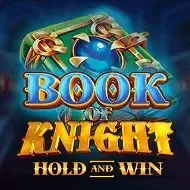 Book of Knight Hold and Win game thumbnail